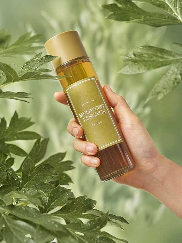 Mugwort Essence