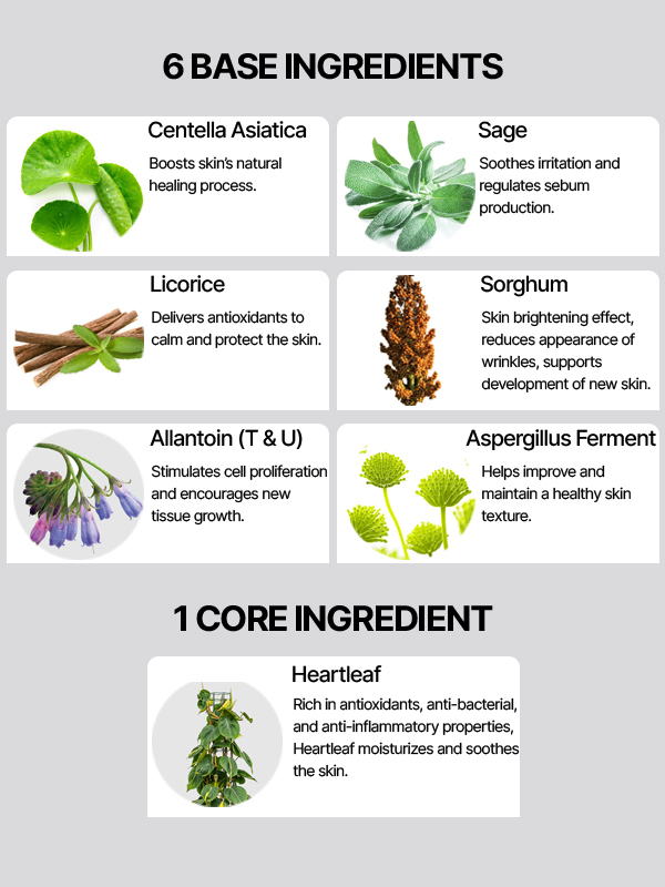 image showing ingredients formulation of AXIS-Y Heartleaf My Type Calming Cream