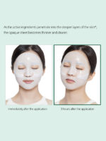 [VT Cosmetics] Pro Cica Reedle Shot 100 2Step Hydrogel Mask (1ea)
