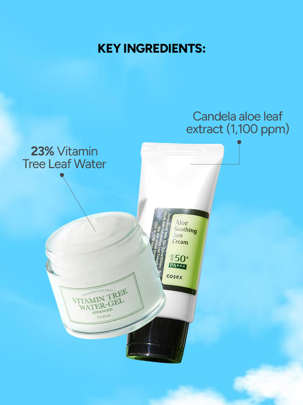 Calming and Protective Daytime Duo | Lightweight Hydration & UV Defense for Oily, Sensitive Skin